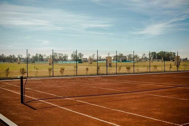 tenis